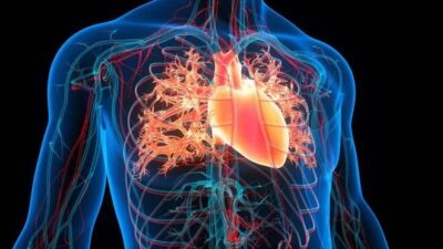 Stanford Üniversitesi'nden araştırmacılar kalp krizi kaynaklı ölümlerin son 50 yıl