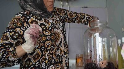 Eşiyle birlikte tamamen doğal yöntemlerle organik meyvelerden atadan kalma tariflerle
