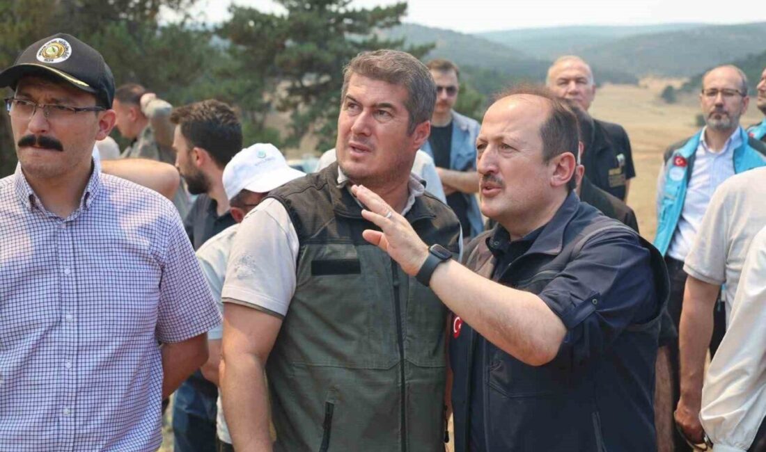 Afet ve Acil Durum Yönetimi Başkanlığı (AFAD) ülkenin çeşitli yerlerinde