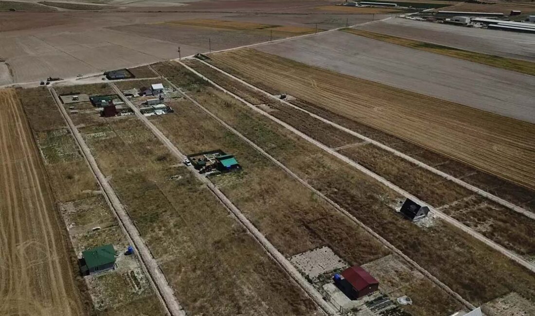 Başkent Ankara’nın Ayaş ilçesine bağlı Gökler köyünde göl ve derelerin