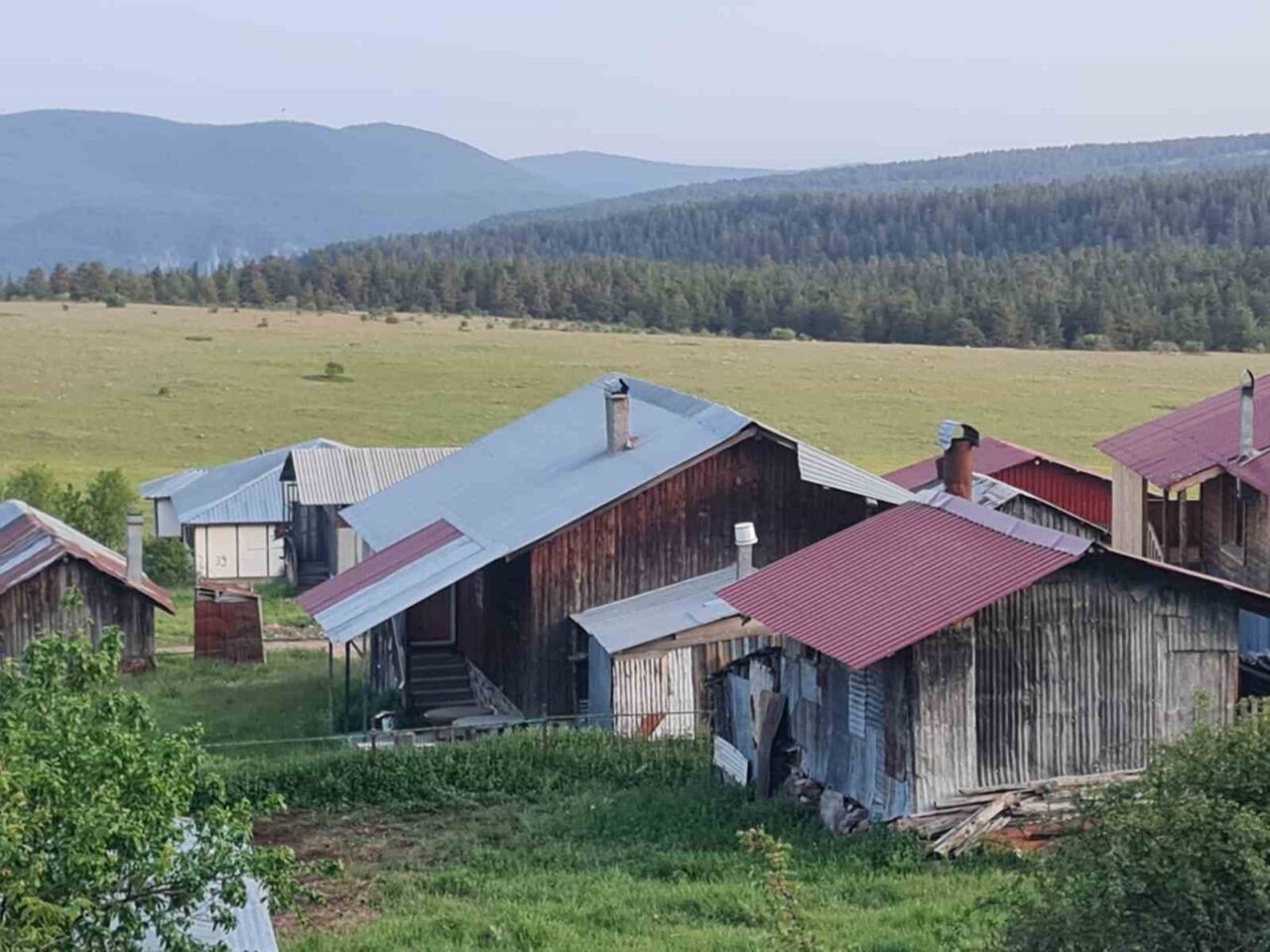 Başkent Ankara’da dağlık bölgelerdeki yılkı atları köylülerin kamerasına yansıdı.