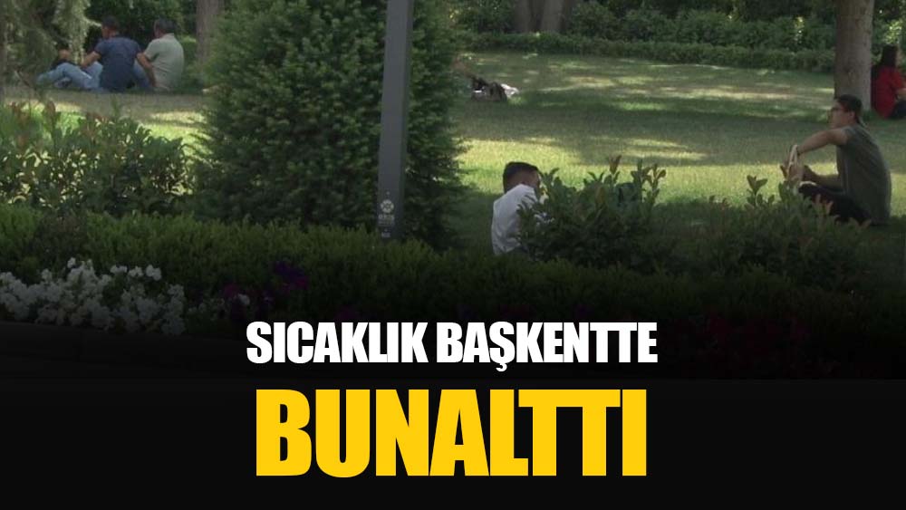 Ankara’da mevsim normallerinin üzerinde seyreden hava sıcaklıkları hem dışarı çıkan