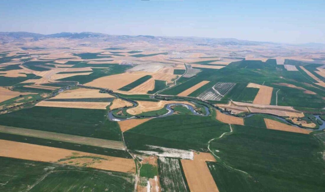 Başkent Ankara'nın Polatlı ilçesinde sıcak hava ve nemin artmasıyla birlikte