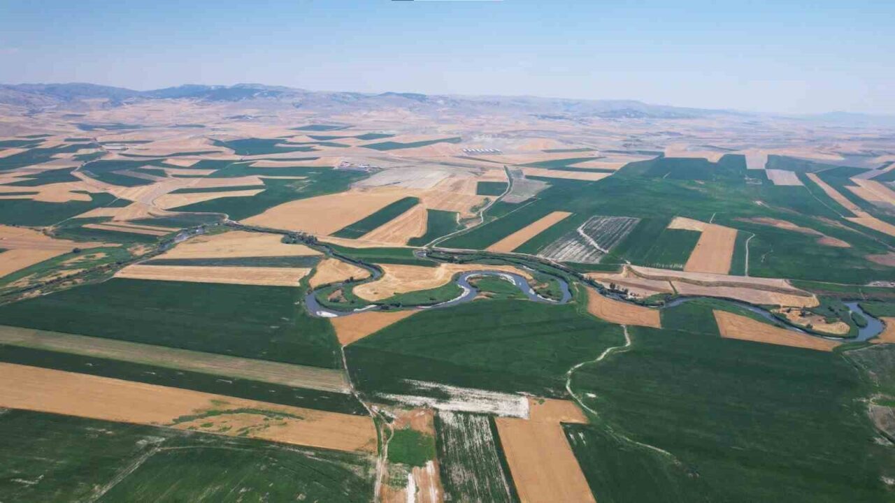 Başkent Ankara'nın Polatlı ilçesinde sıcak hava ve nemin artmasıyla birlikte