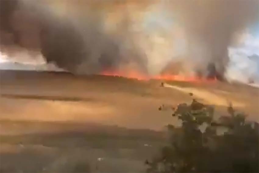 Başkent Ankara'nın Yenimahalle ilçesi Yakacık'ta ekili arazide çıkan yangın, itfaiye