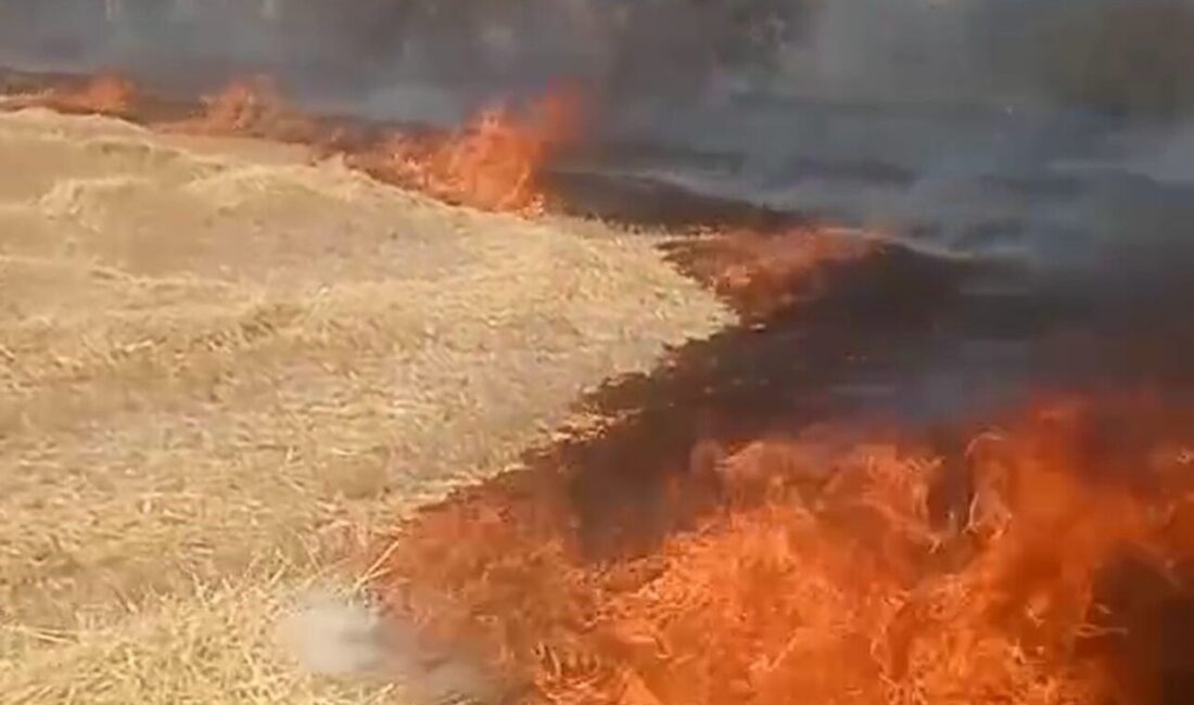 Ankara’nın Beypazarı ilçesinde bir tarlada anız yangını çıktı.