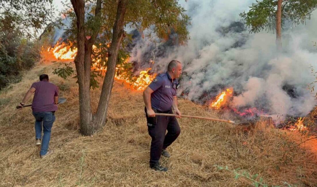 Ankara’nın Polatlı ilçesinde otluk alanda çıkan yangın hızla büyüyerek ağaçlık