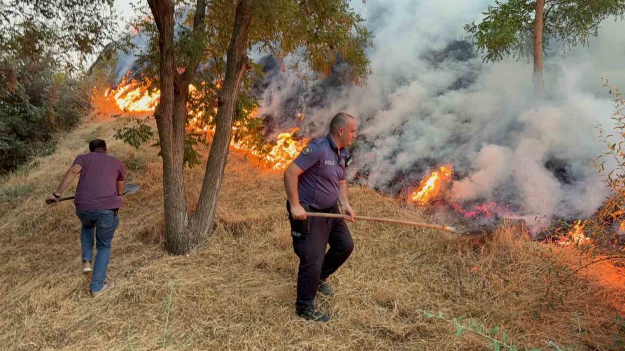 Ankara’nın Polatlı ilçesinde otluk alanda çıkan yangın hızla büyüyerek ağaçlık