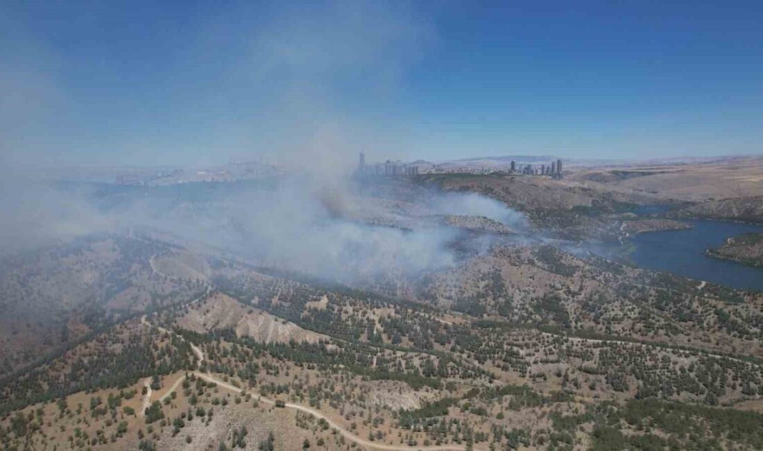 Ankara’da Orta Doğu Teknik Üniversitesi (ODTÜ) ormanlık alanında çıkan yangın,