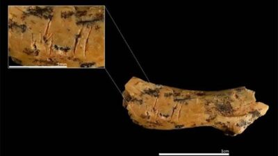 İspanya’da arkeologlar, Avrupa’da insan yamyamlığına dair en eski kanıtlardan biri