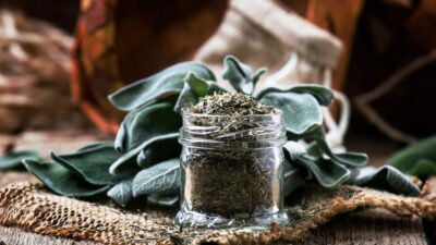 Baharatlar, bağırsak mikrobiyotası üzerinde yararlı değişiklikler sağlayarak sindirim sağlığını olumlu