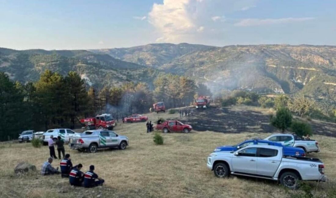Başkent Ankara’nın Beypazarı ilçesinde 15 dönüm ekili arazide çıkan yangın