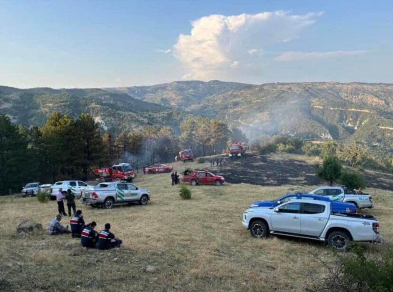 Başkent Ankara’nın Beypazarı ilçesinde 15 dönüm ekili arazide çıkan yangın
