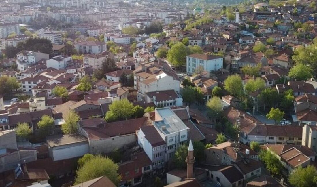 Türkiye İstatistik Kurumu (TÜİK) Adrese Dayalı Nüfus Kayıt Sistemi (ADNKS)