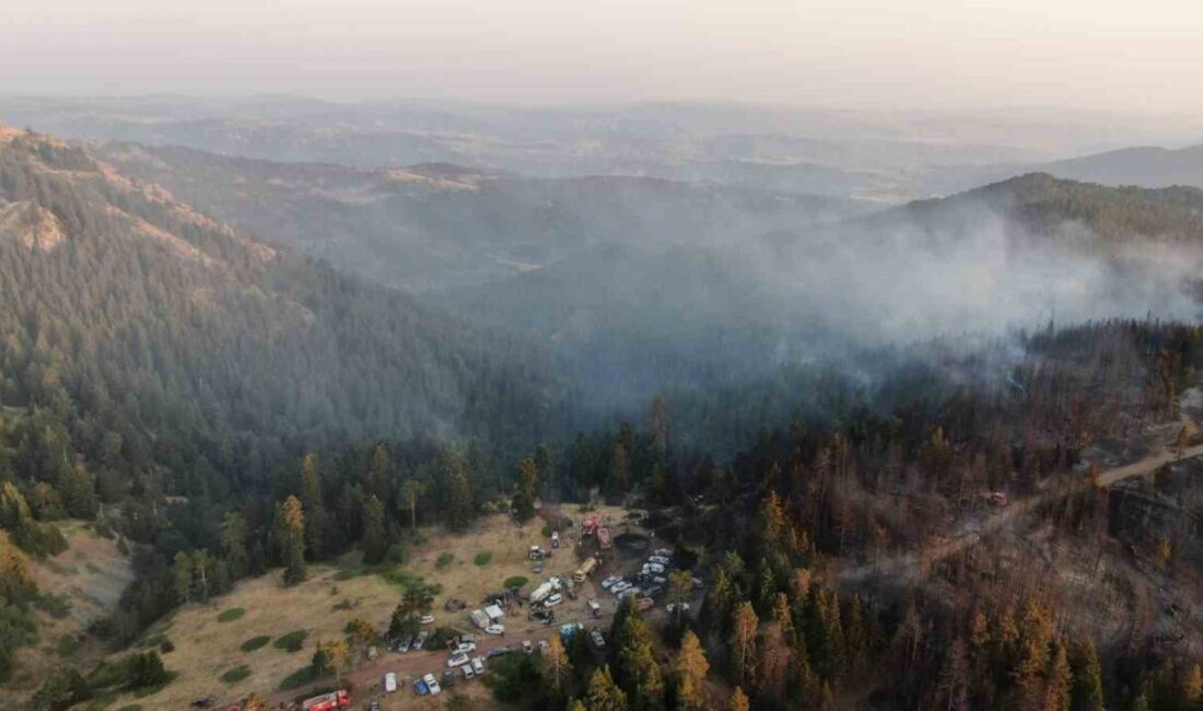Çankırı Valisi Mustafa Fırat Taşoşar, Çankırı’nın yapraklı ilçesinde çıkan orman