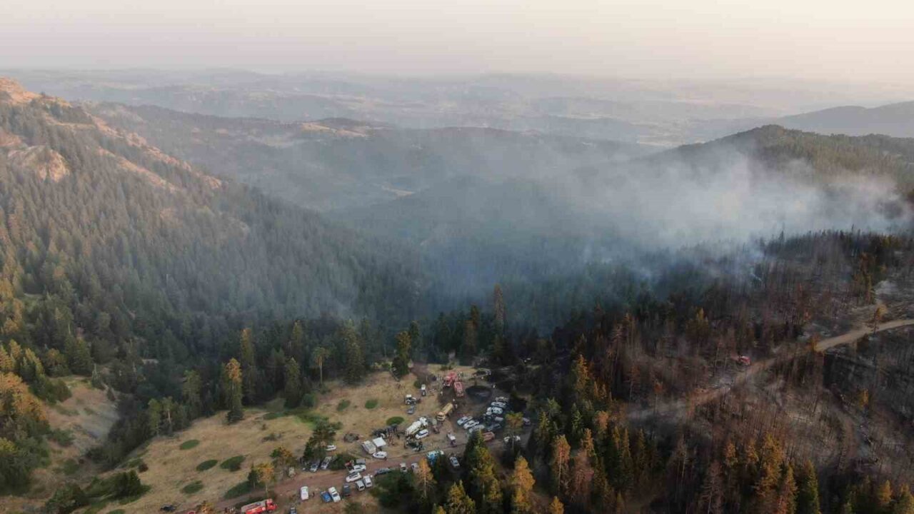 Çankırı Valisi Mustafa Fırat Taşoşar, Çankırı’nın yapraklı ilçesinde çıkan orman