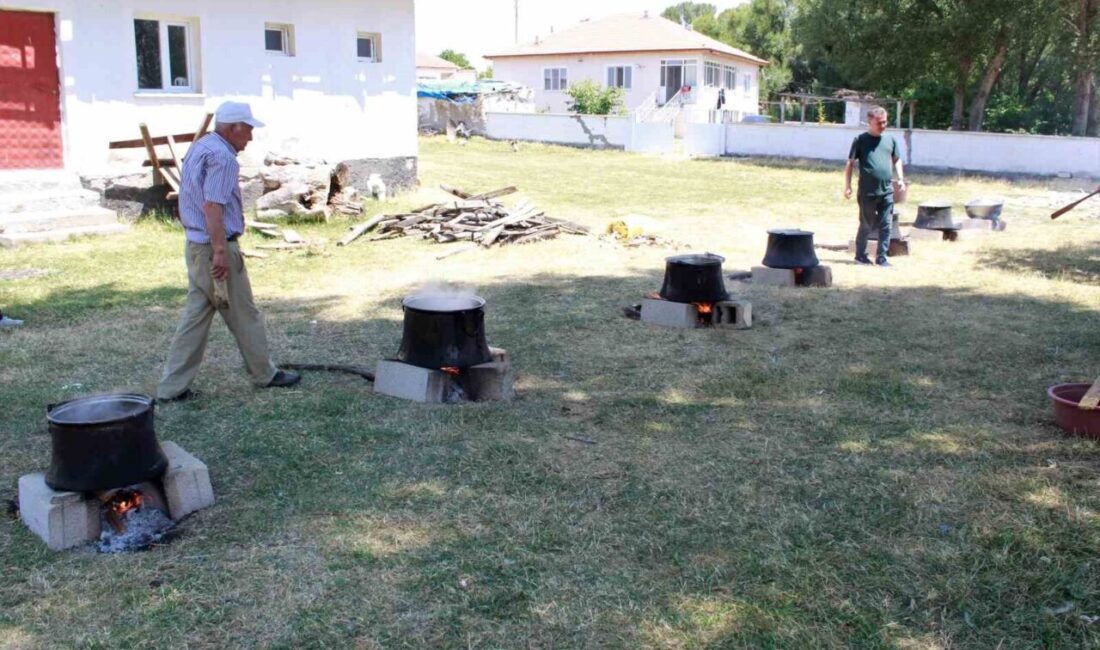 Yozgat’ın Boğazlıyan ilçesine bağlı Poyrazlı Köyü’nde bu yıl 25’ncisi düzenlenen