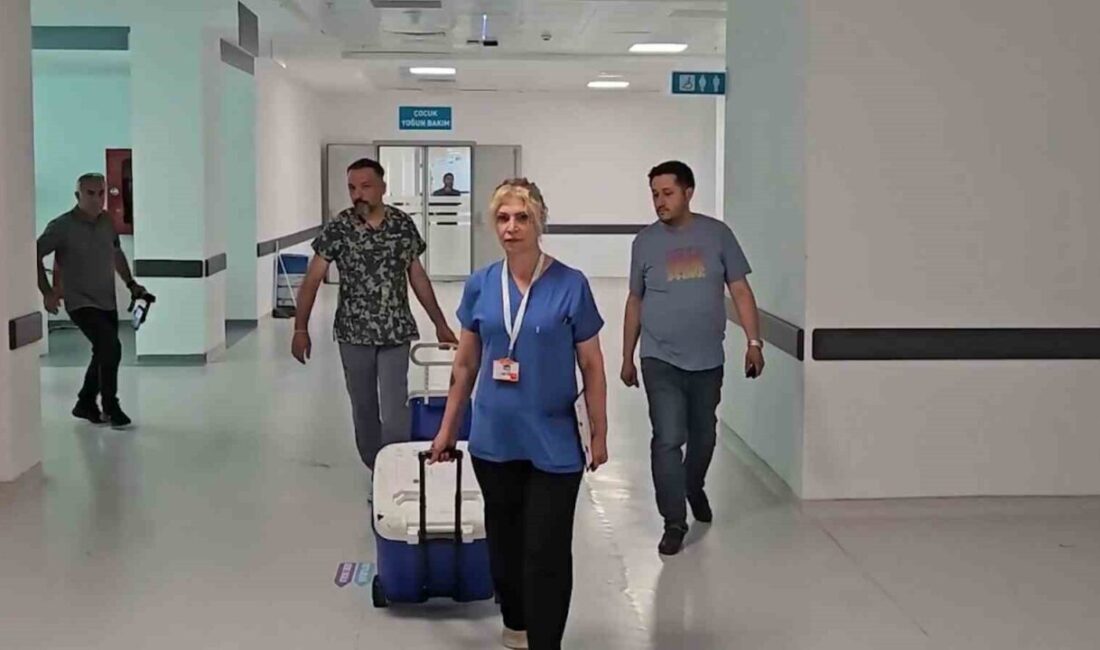 Niğde Ömer Halisdemir Eğitim ve Araştırma Hastanesi Organ Nakil Sorumlusu