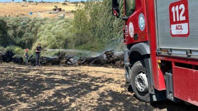 Eskişehir’de çıkan ekin yangını itfaiye ekiplerinin müdahalesiyle söndürüldü.