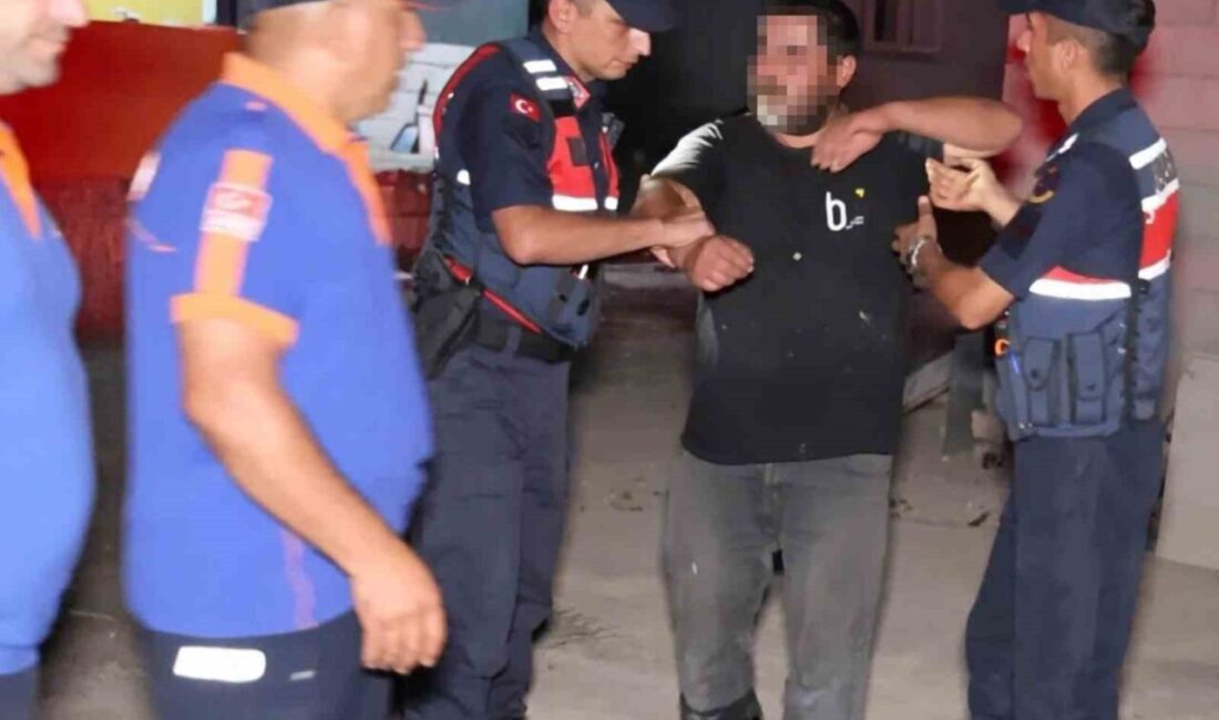 Aksaray’da gece yarısı evinde yılan olduğunu belirterek jandarma ve AFAD