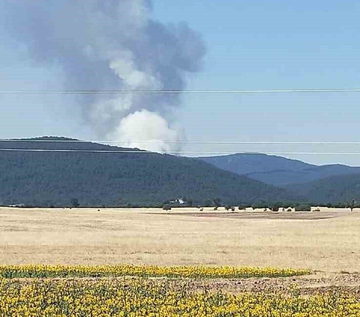 Eskişehir’in Seyitgazi İlçesi’nde büyük bir orman yangını çıktığı bildirildi.