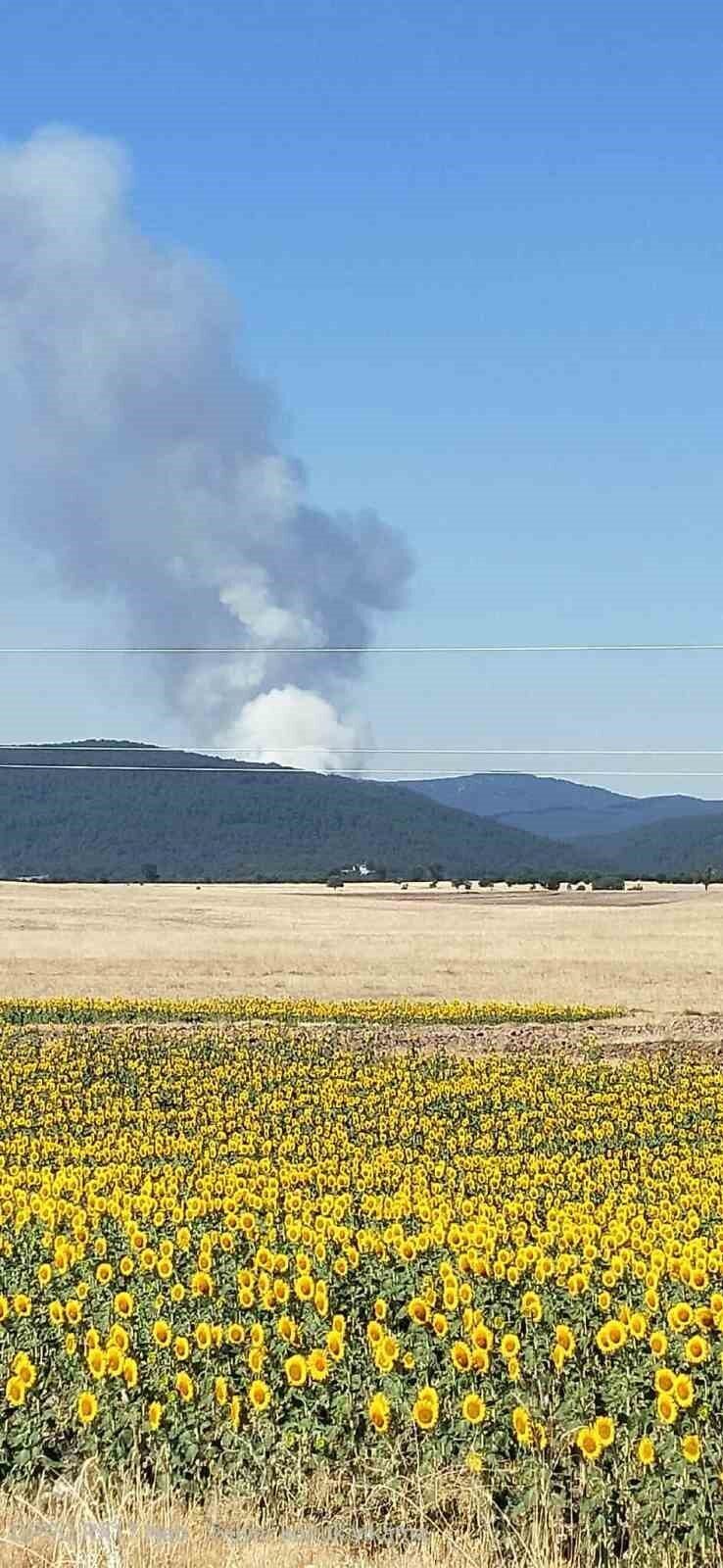 Eskişehir’in Seyitgazi İlçesi’nde büyük bir orman yangını çıktığı bildirildi.