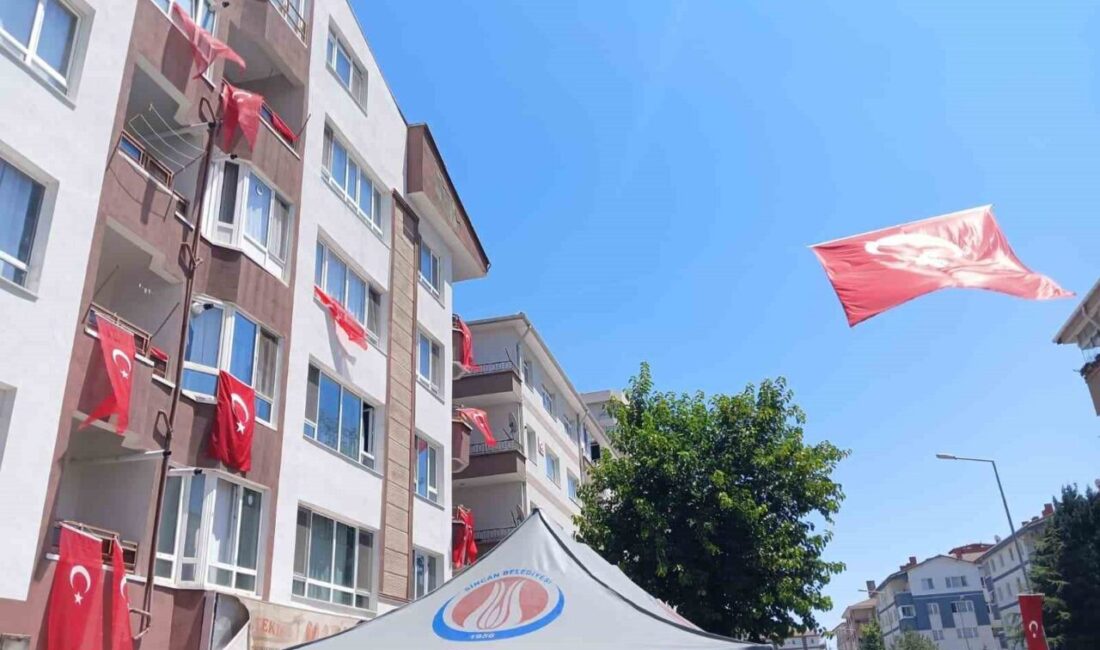 Eskişehir’deki orman yangınında şehit olan Arama Kurtarma Derneği (AKUT) gönüllüsü