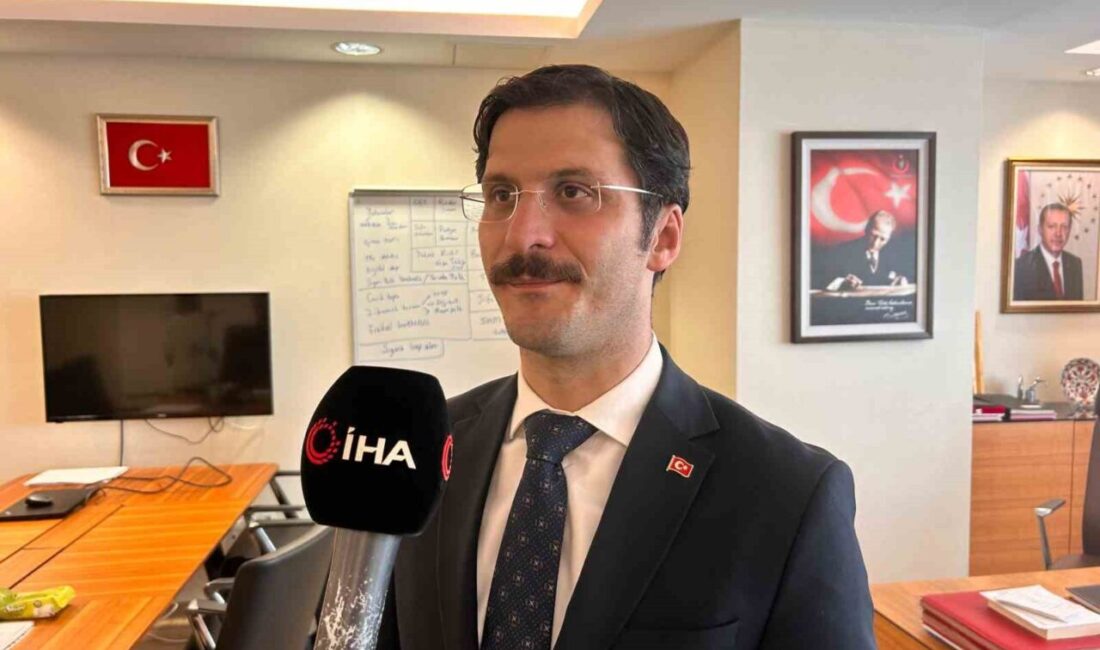 Halk Sağlığı Genel Müdürü Muhammed Emin Demirkol, "İstiyoruz ki dumansız