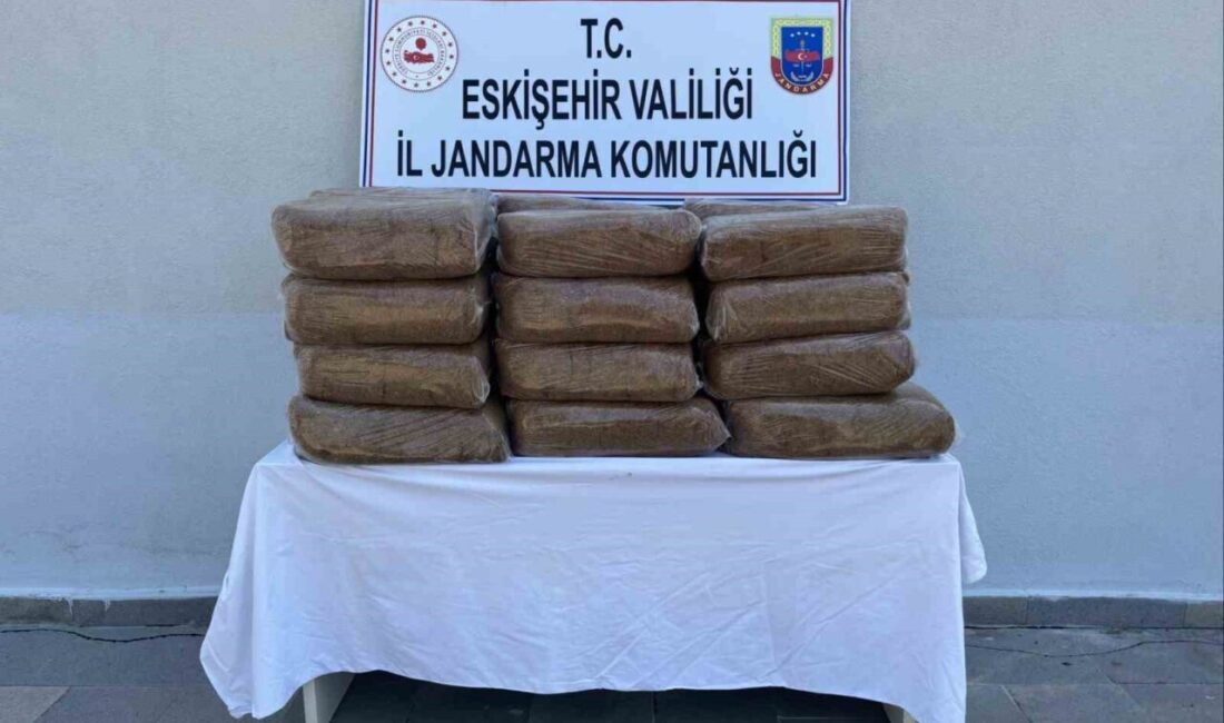 Eskişehir İl Jandarma Komutanlığı ekiplerince şüpheli bir şahsın aracında yapılan