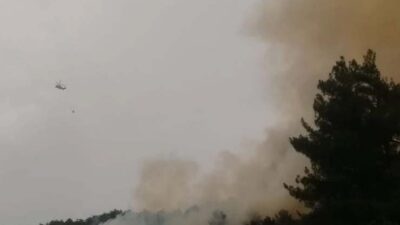 Kahramanmaraş’ın Onikişubat ilçesine bağlı Çamlıbel Mahallesi kırsalında ormanlık alanda yangın