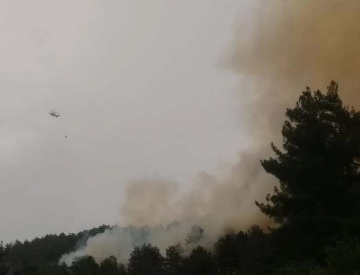 Kahramanmaraş’ın Onikişubat ilçesine bağlı Çamlıbel Mahallesi kırsalında ormanlık alanda yangın