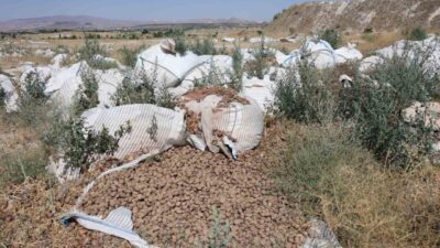 Nevşehir Valiliği’nin yaptığı uyarıları dikkate almayan patates depo işletmecileri; Kapadokya
