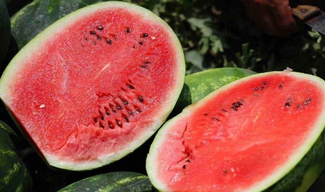 Kayısıda bu yıl yaşanan rekolte kaybı nedeniyle zor günler geçiren