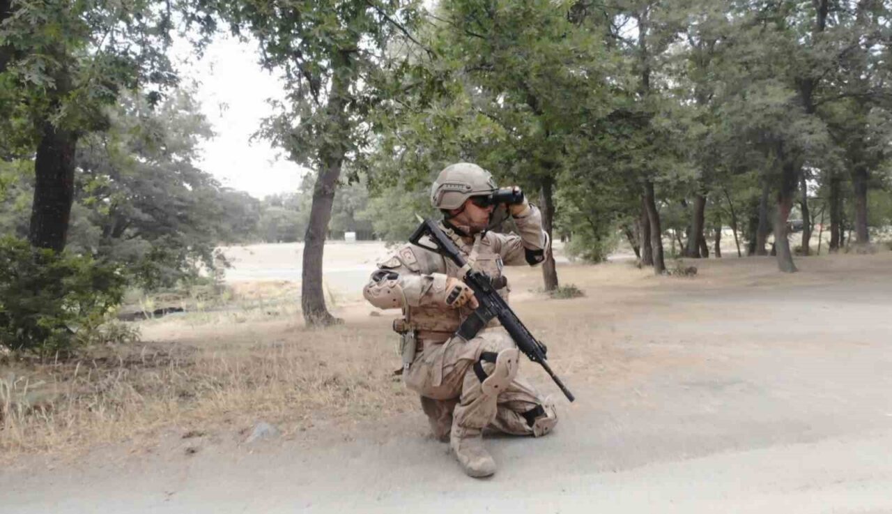 Türkiye genelinde çıkan orman yangınlarında ormanlık alanlar büyük zarar görürken,
