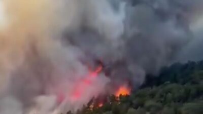 Konya’nın Doğanhisar ilçesinde pazartesi günü çıkan orman yangını kontrol altına
