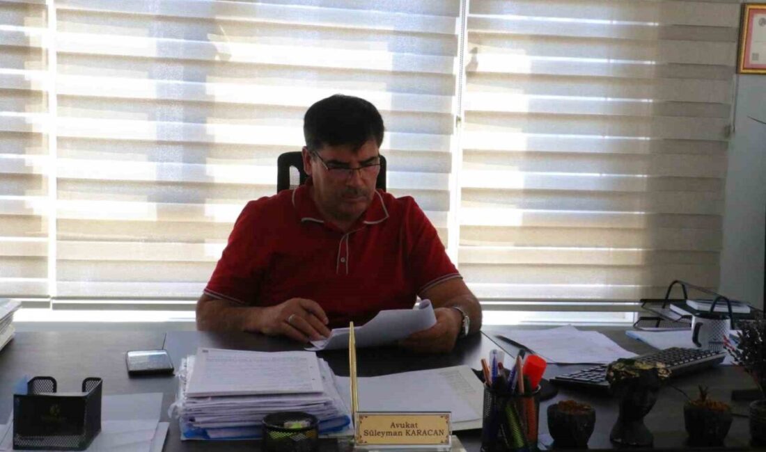 Ankara’da doktorluk yapan M.M.D. (28), mahalledeki komşularından sahiplendiği 3 yavru