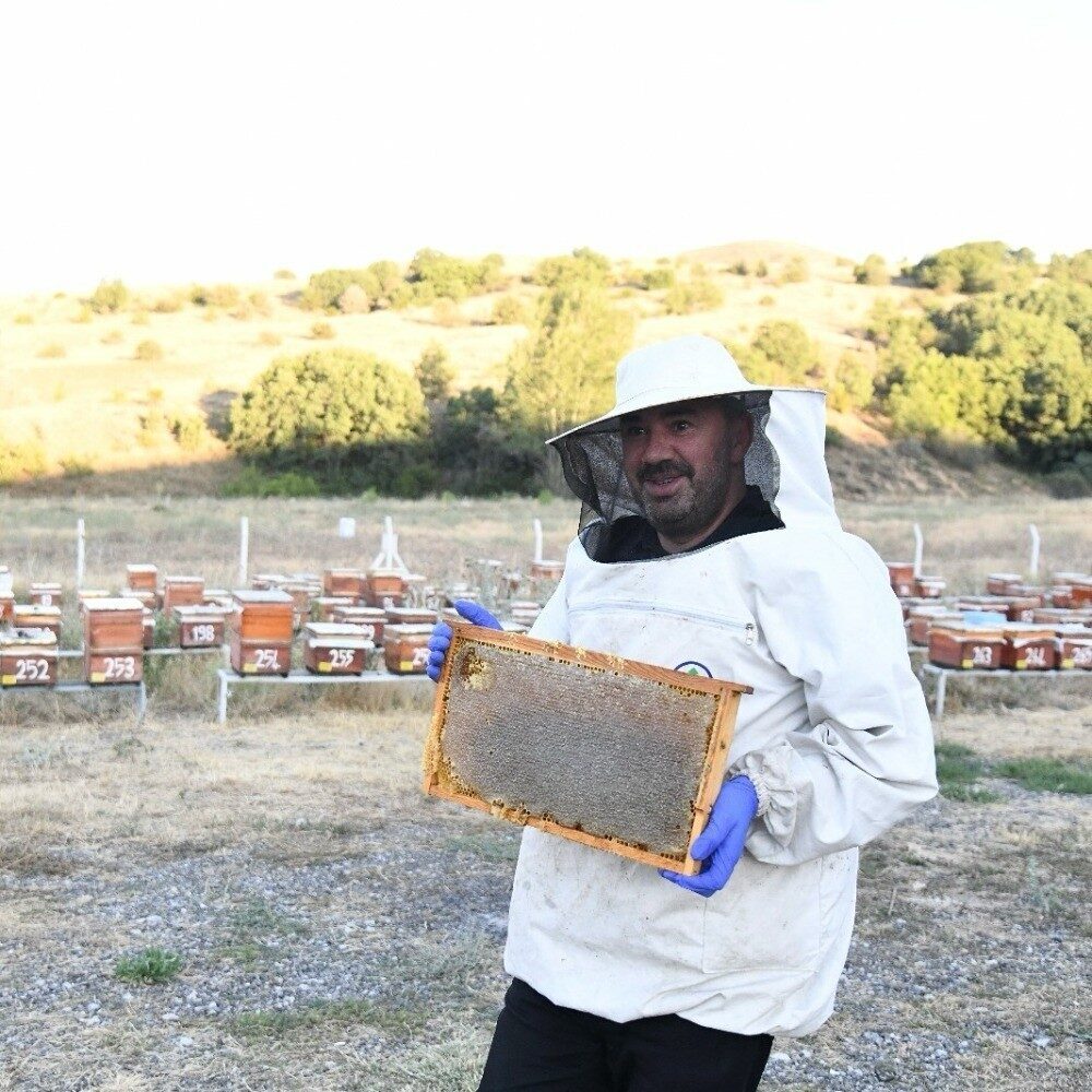Ankara’da vatandaşları yerli, milli ve organik ürünlere teşvik eden Pursaklar