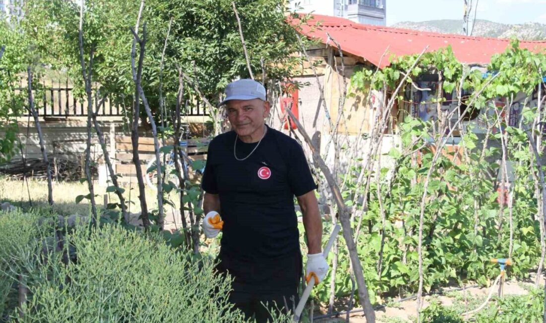 İstanbul’da şehir hayatından sıkılan 70 yaşındaki vatandaş, çocukluk hayalini gerçekleştirerek