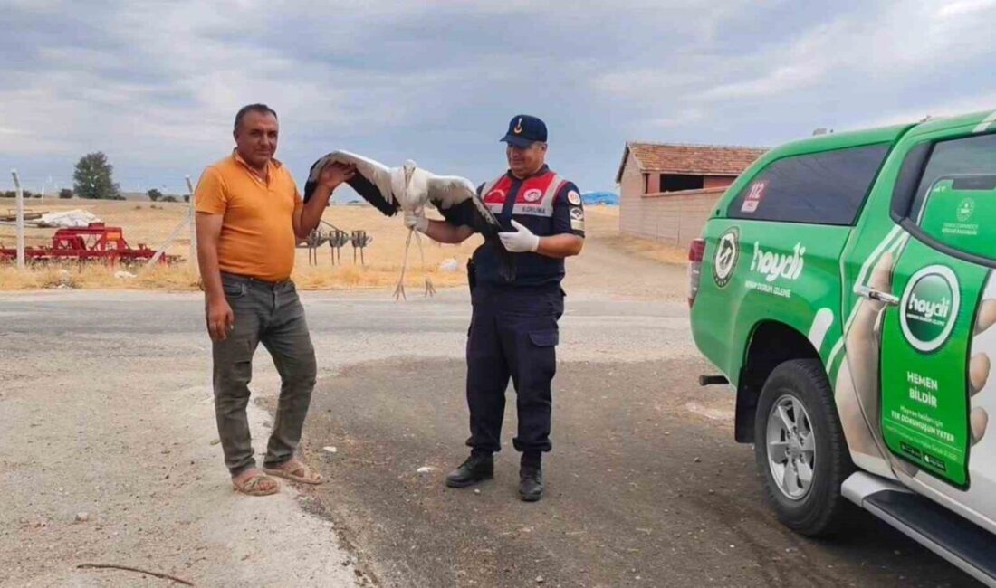 Yozgat’ın Sorgun ilçesinde bulunan yaralı leylek koruma altına alındı.
