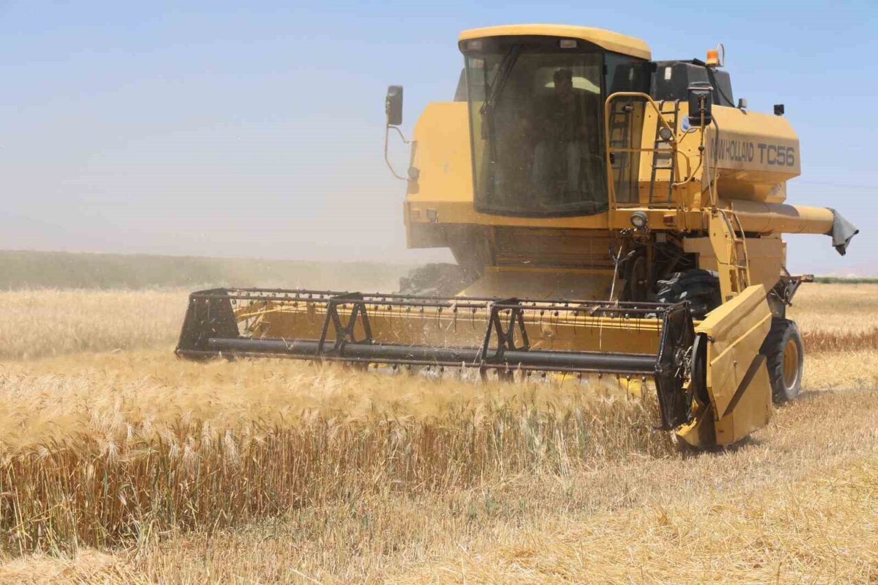 Tahıl ambarı Konya Ovasında hububat hasadı devam ediyor. Arpanın ardından