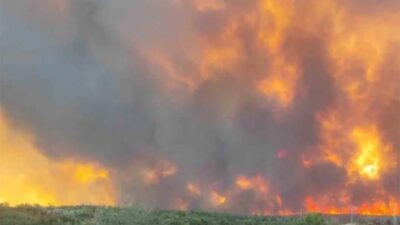 Tekirdağ’ın Şarköy ilçesinde kırsal bölgede başlayan orman yangını, şiddetli rüzgârın