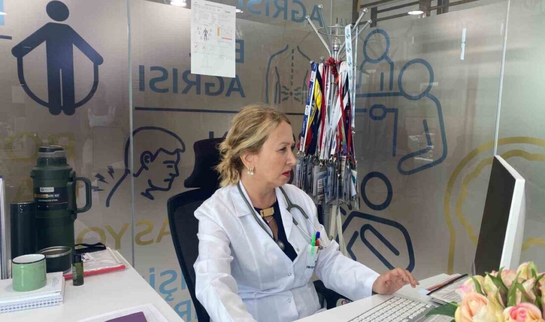 Medicana International Ankara Hastanesi Fizik Tedavi ve Rehabilitasyon Uzmanı Prof.