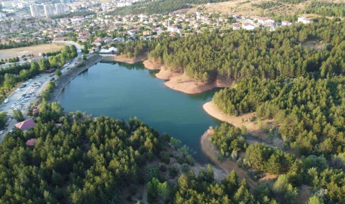 Ülke genelinde orman yangınlarında 10 kişinin hayatını kaybetmesinin ardından Yozgat’ta