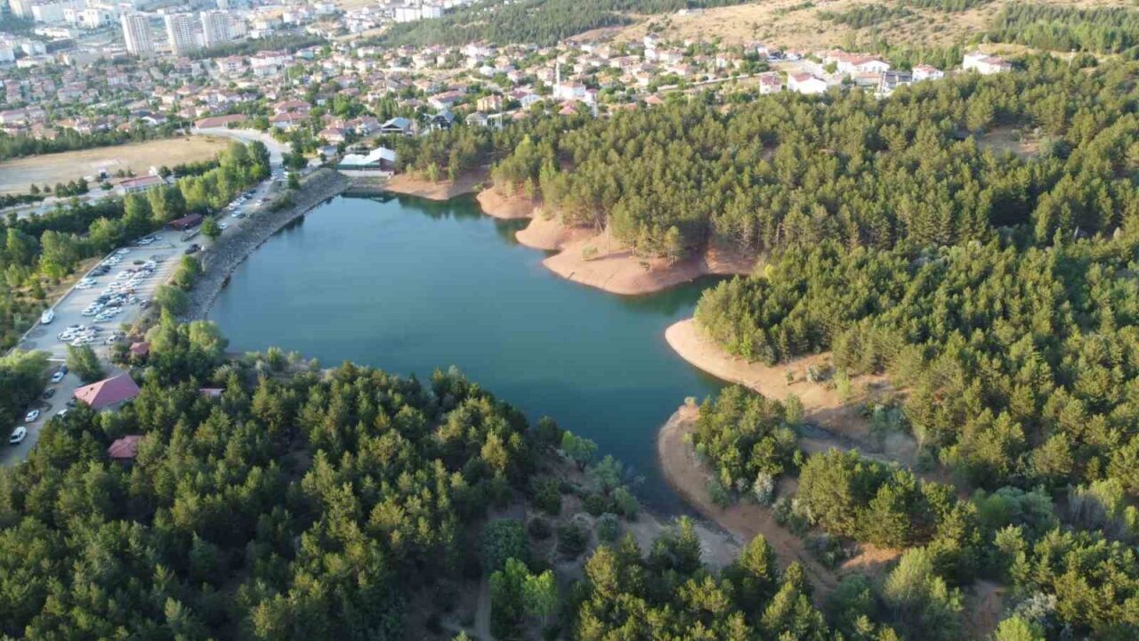 Ülke genelinde orman yangınlarında 10 kişinin hayatını kaybetmesinin ardından Yozgat’ta
