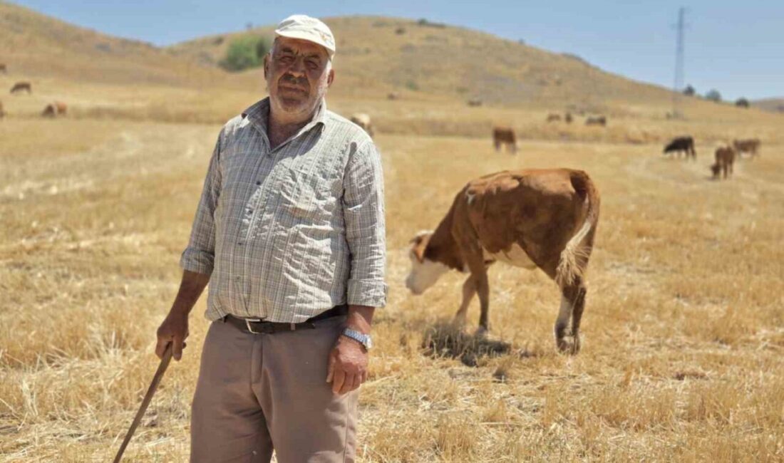 Yozgat’ın Sorgun ilçesinde yaşayan Mustafa Bükücü 40 yıldır çobanlık yaparak