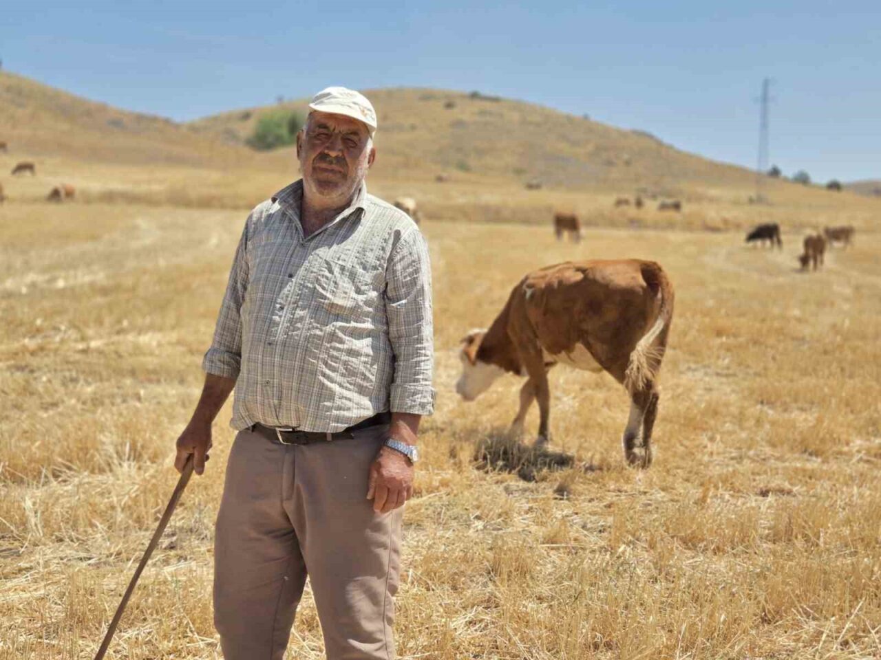 Yozgat’ın Sorgun ilçesinde yaşayan Mustafa Bükücü 40 yıldır çobanlık yaparak