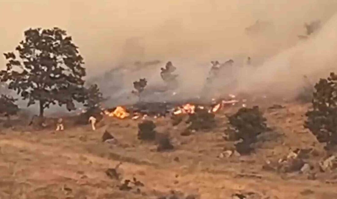 Aksaray’ın merkeze bağlı Karacaören köyünde ağaçlık alanda yangın çıktı. Bölgeye