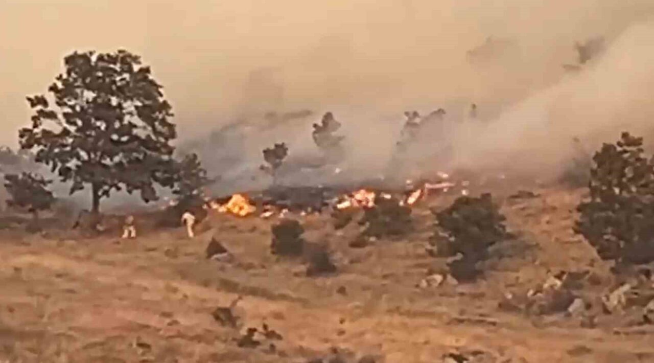 Aksaray’ın merkeze bağlı Karacaören köyünde ağaçlık alanda yangın çıktı. Bölgeye