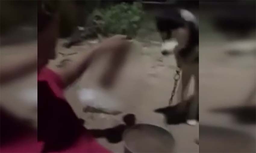 Ankara’nın Polatlı ilçesinde, köpeğine alkol içirip cep telefonu kamerasıyla kaydeden