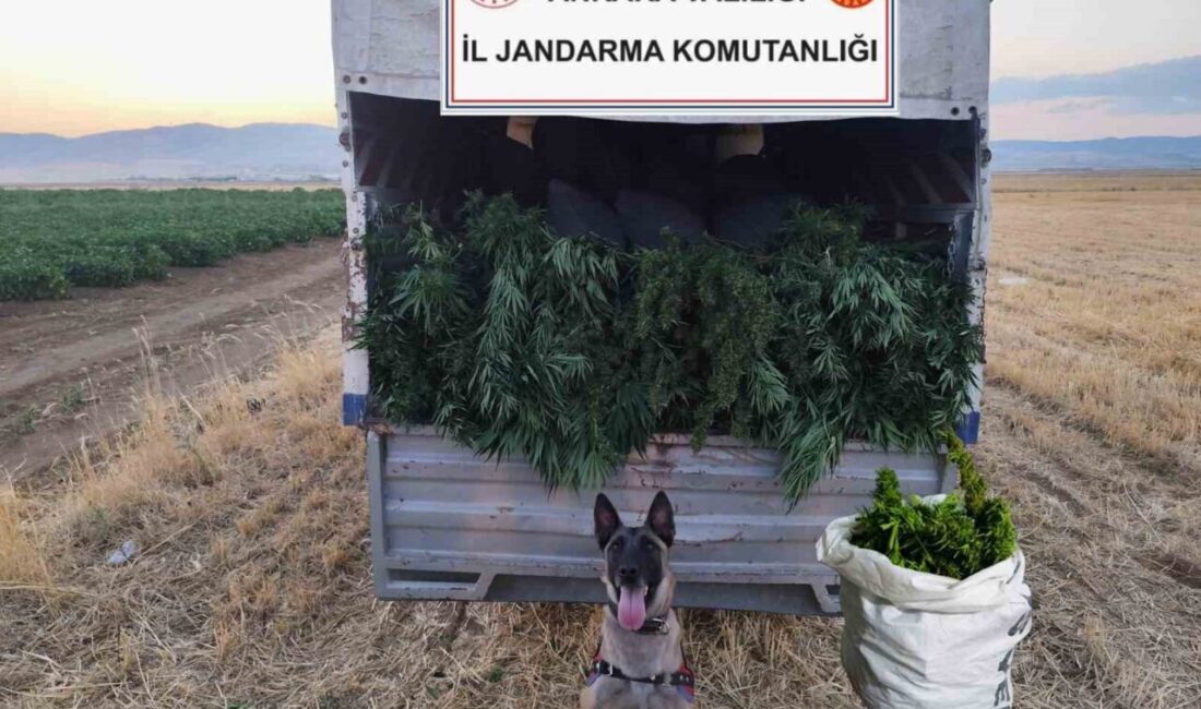 Başkent Ankara’da jandarma ekiplerinin düzenlediği yasaklı madde operasyonunda 2 kişi